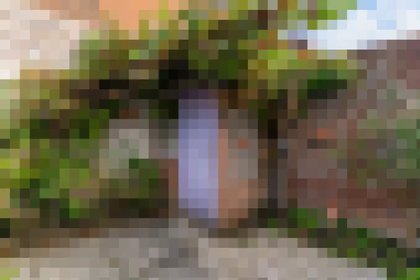 Lucas van Leijdenstraat 8 Leiden thumbnail 32