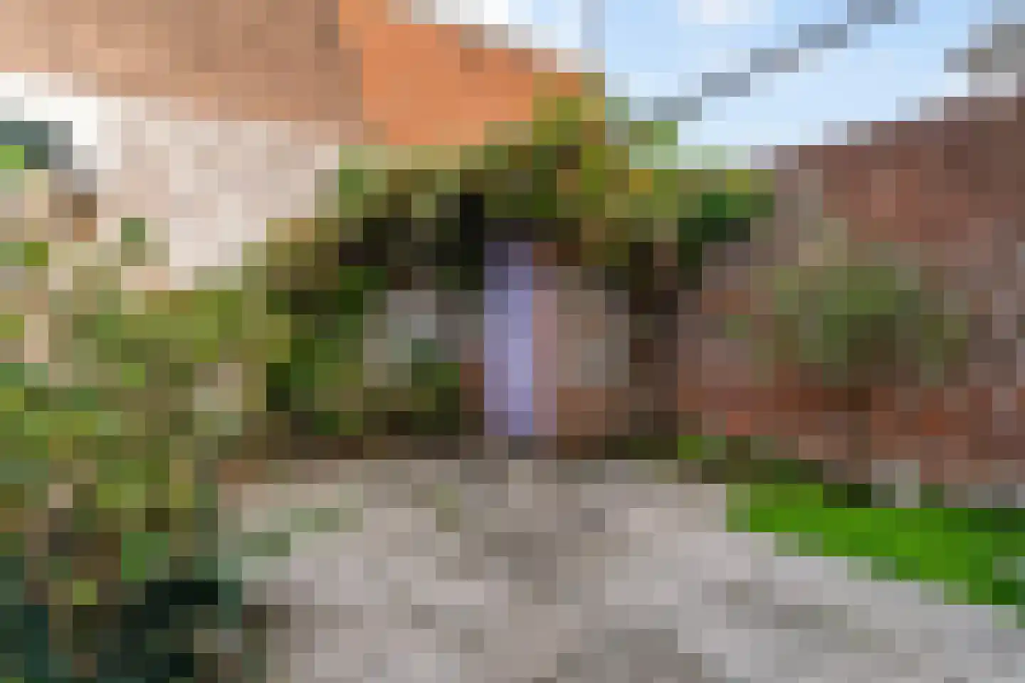 Lucas van Leijdenstraat 8 Leiden thumbnail 33