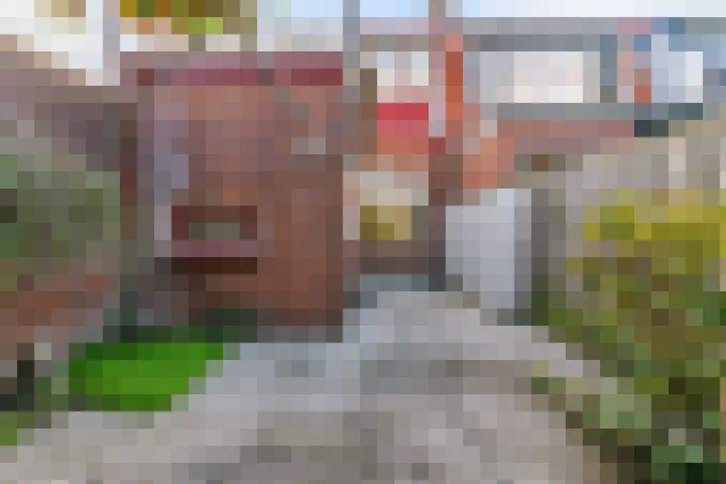 Lucas van Leijdenstraat 8 Leiden thumbnail 34