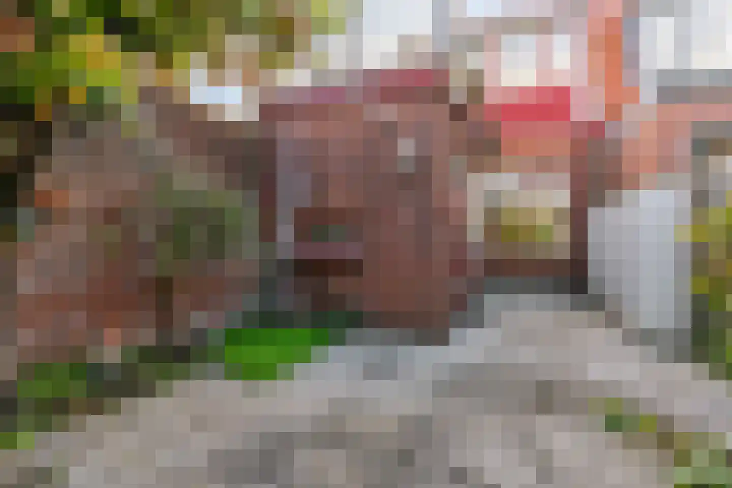 Lucas van Leijdenstraat 8 Leiden thumbnail 4