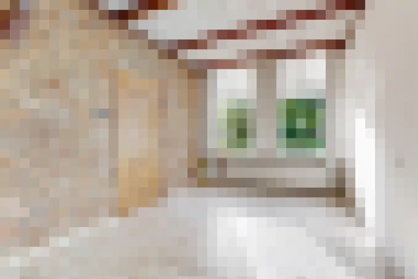Lucas van Leijdenstraat 8 Leiden thumbnail 8