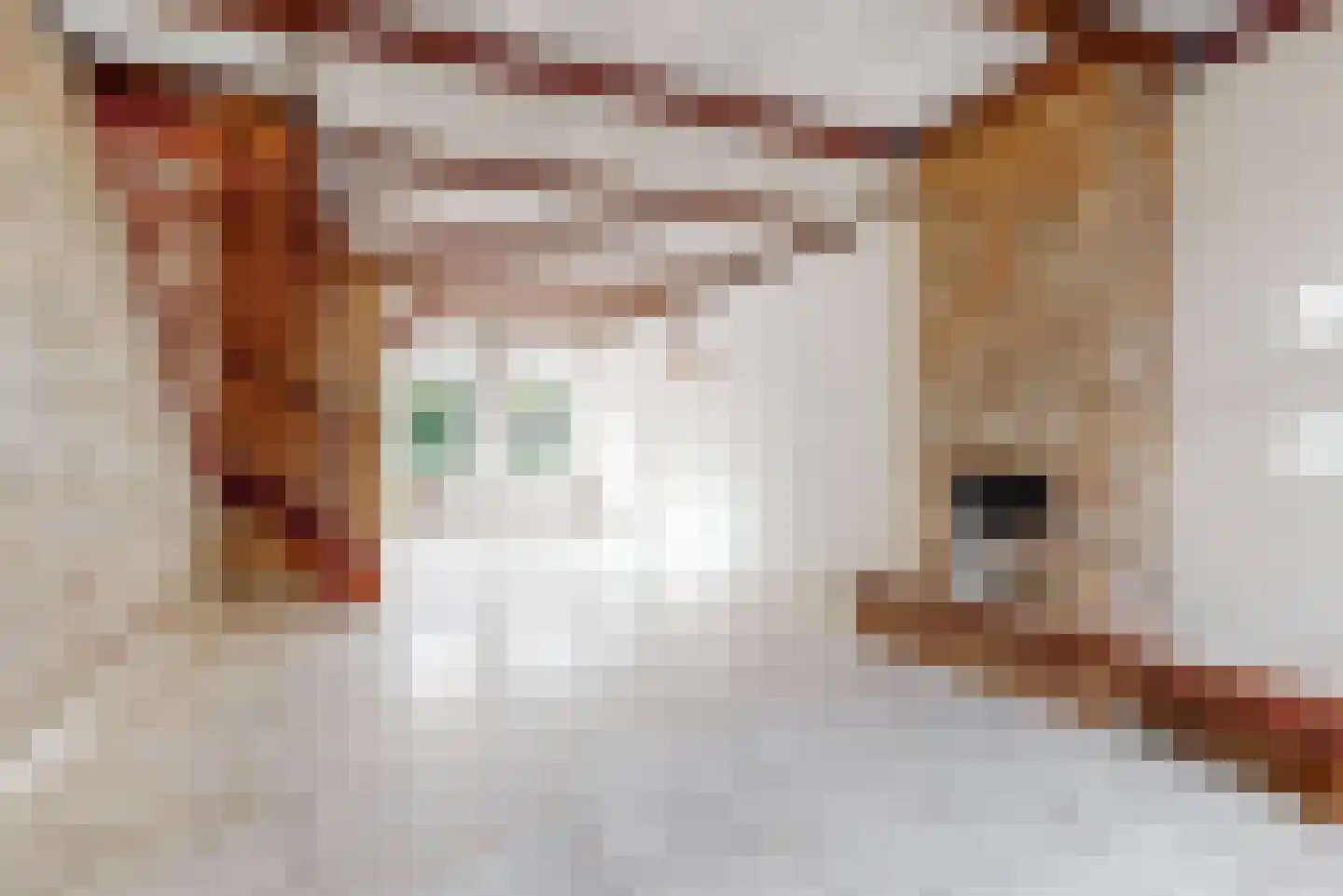 Lucas van Leijdenstraat 8 Leiden thumbnail 9