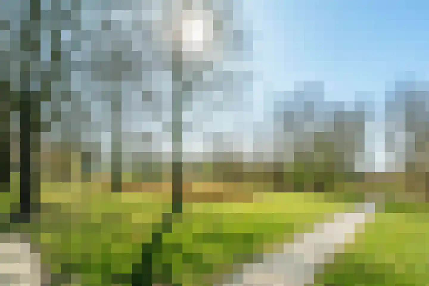 Lucas van Leydenhage 52 Nieuwegein thumbnail 32