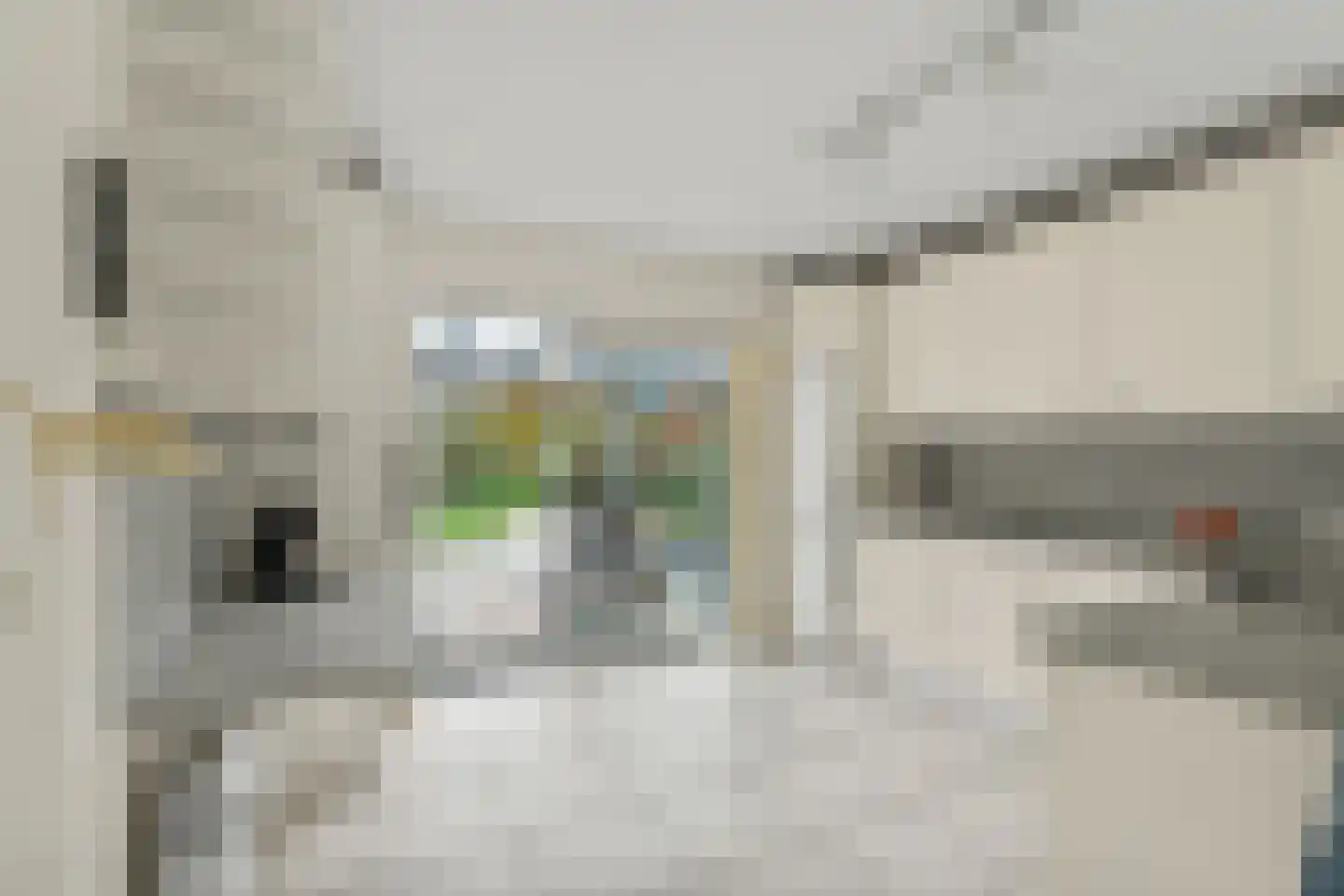Lucas van Leydenhage 9 Nieuwegein thumbnail 12