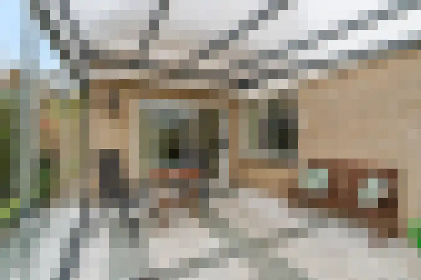 Lucas van Leydenhage 9 Nieuwegein thumbnail 17