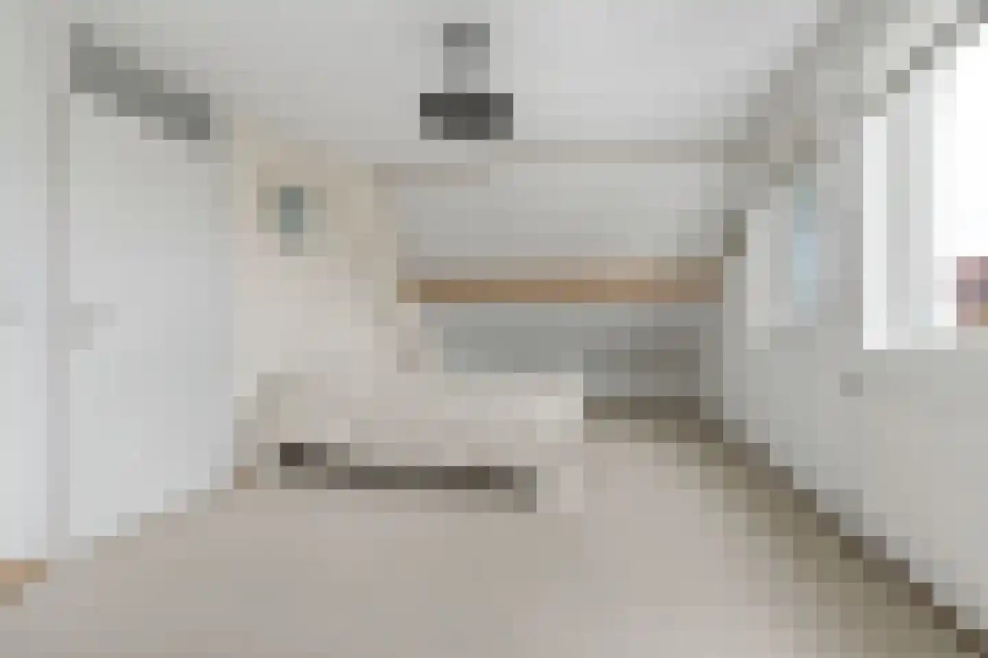 Lucas van Leydenhage 9 Nieuwegein thumbnail 27