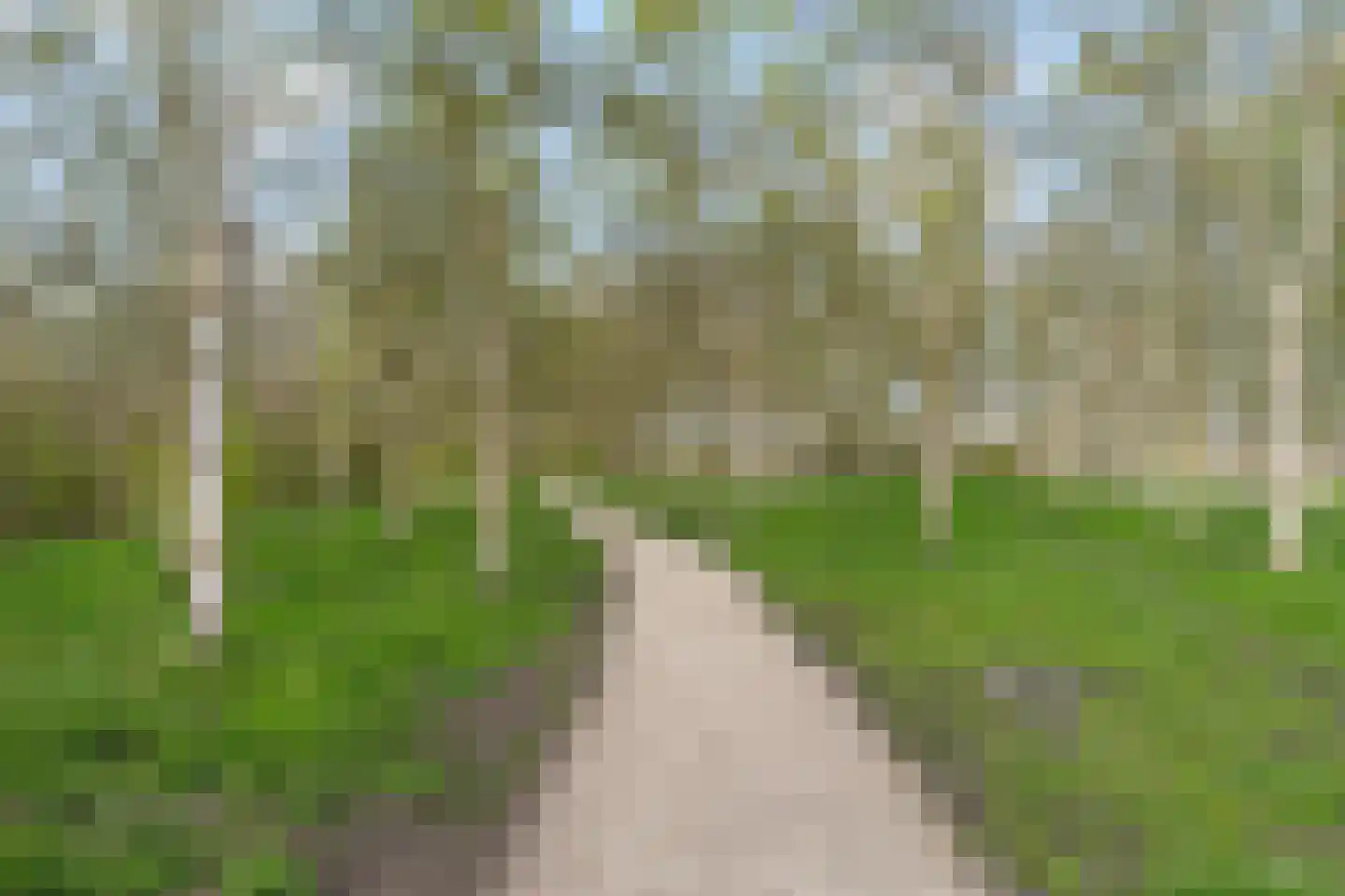 Lucas van Leydenhage 9 Nieuwegein thumbnail 33