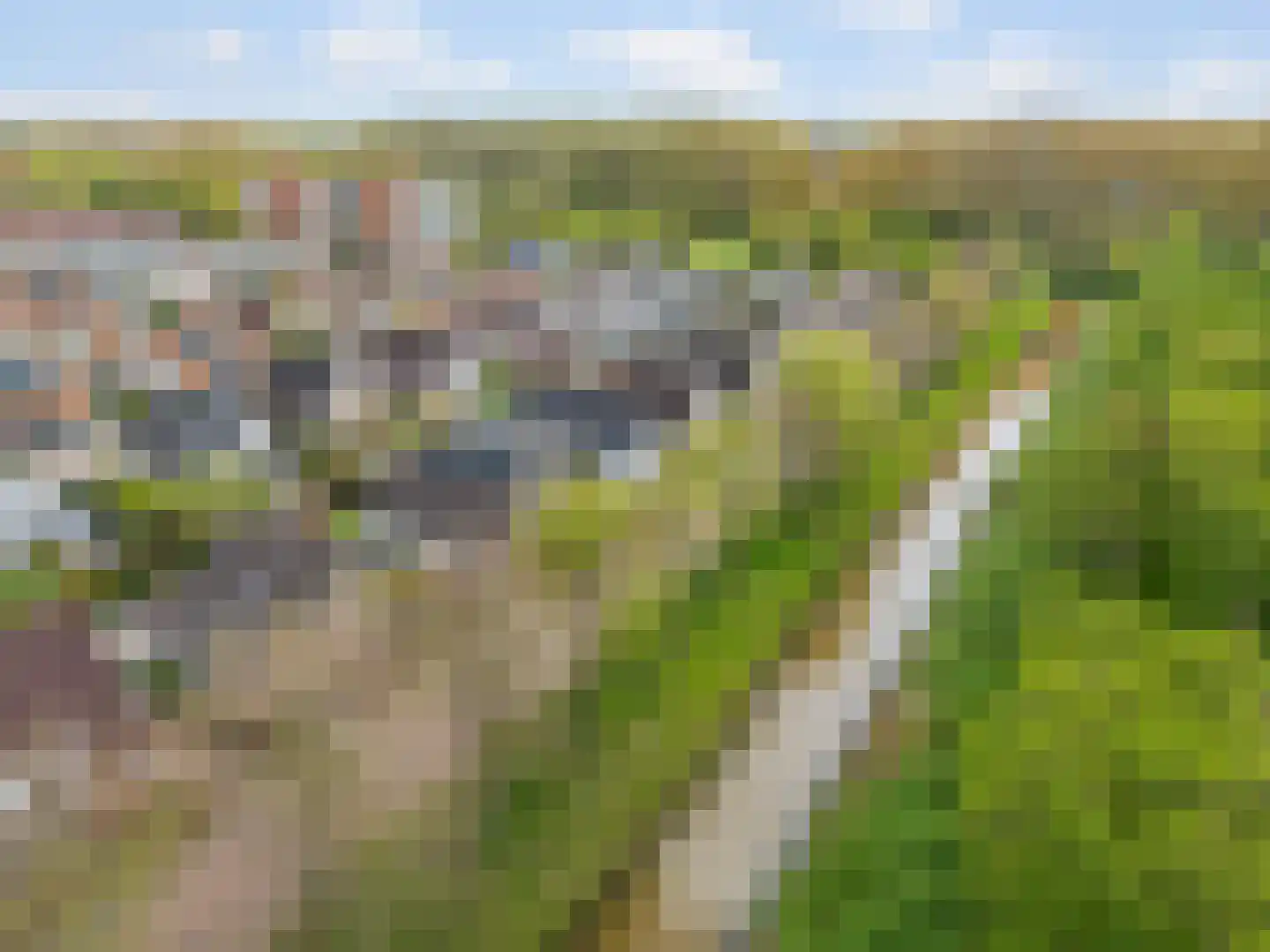 Lucas van Leydenhage 9 Nieuwegein thumbnail 39
