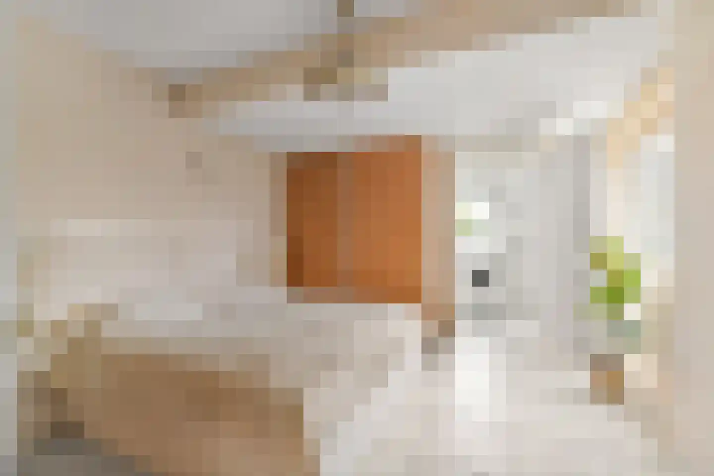 Lucas van Leydenhage 9 Nieuwegein thumbnail 4