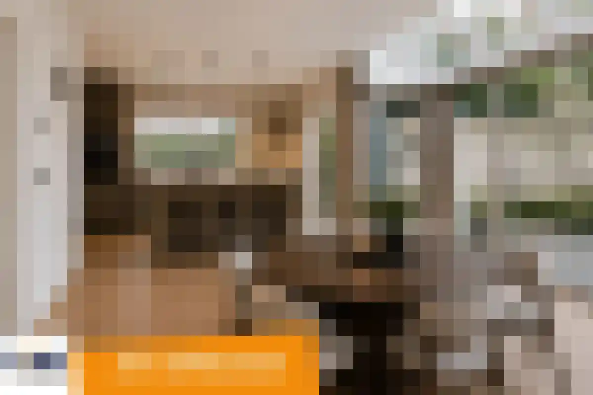 Lucas van Leydenlaan 1 Berkel-Enschot thumbnail 10