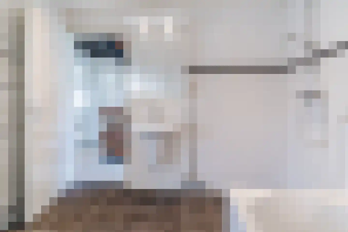 Lucas van Leydenlaan 1 Berkel-Enschot thumbnail 22