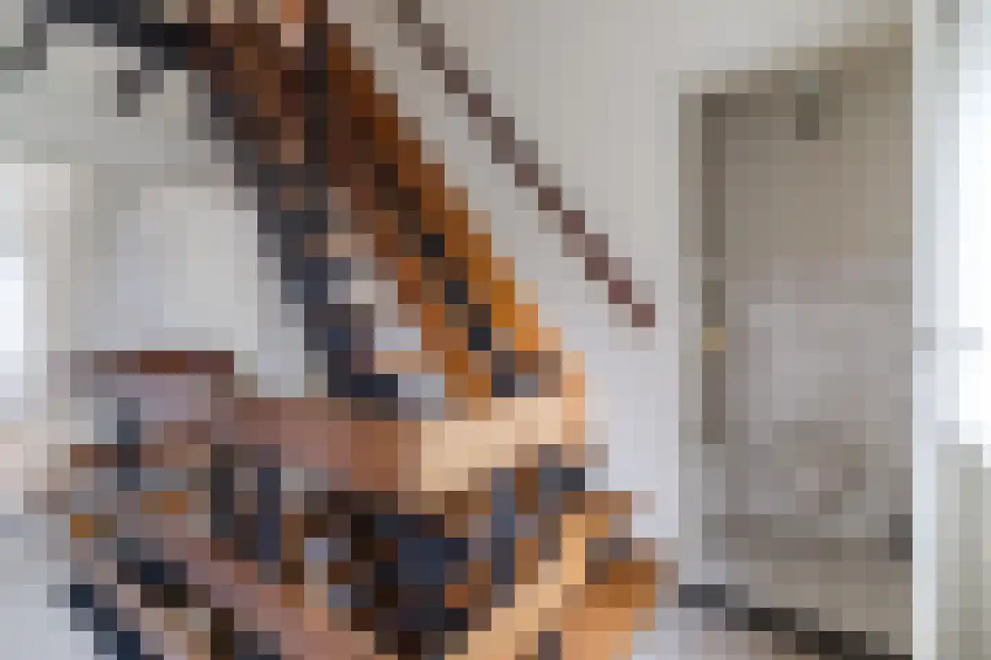 Lucas van Leydenlaan 1 Berkel-Enschot thumbnail 29