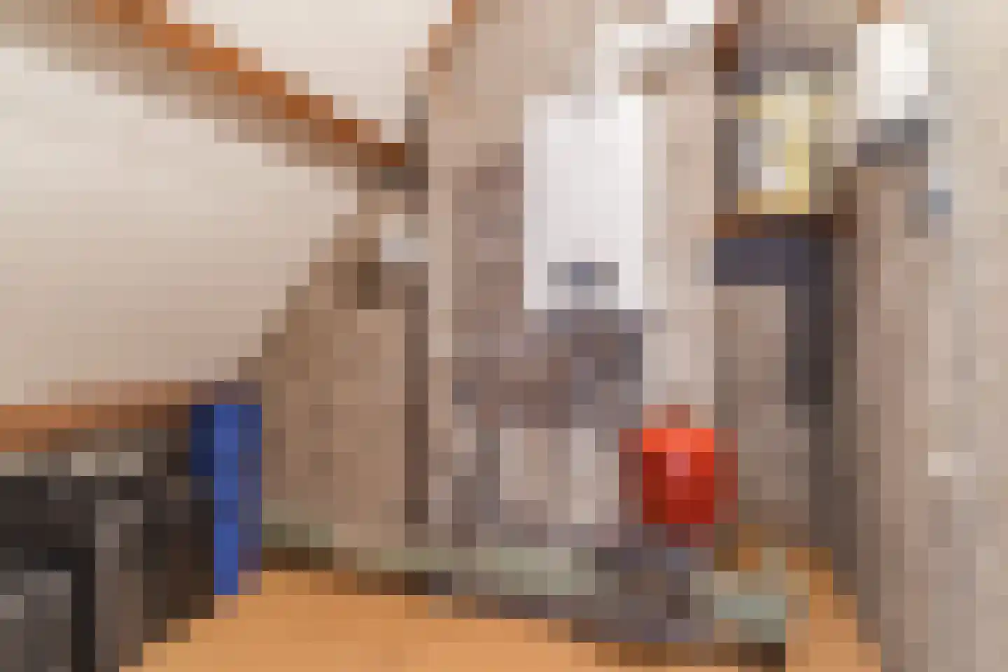 Lucas van Leydenlaan 1 Berkel-Enschot thumbnail 34