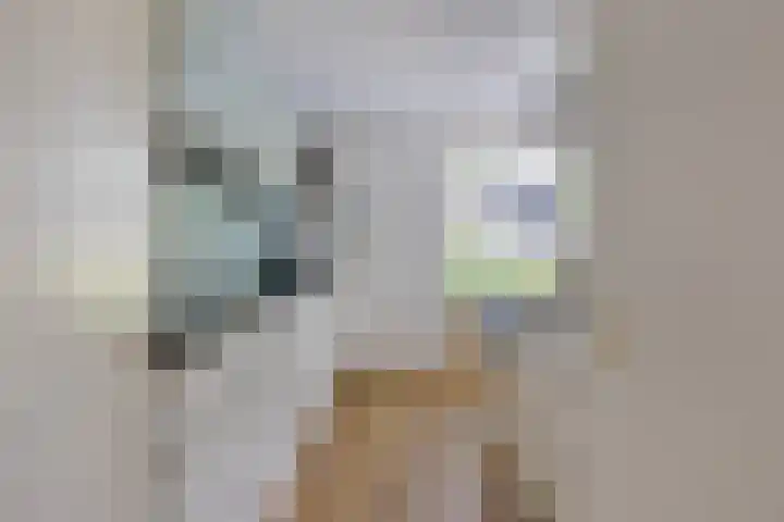 Lucas van Leydenstraat 24 Ede thumbnail 11