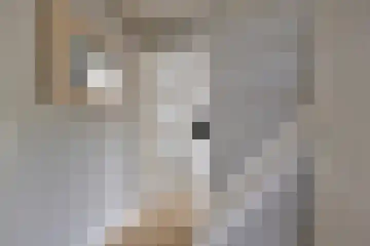 Lucas van Leydenstraat 24 Ede thumbnail 12