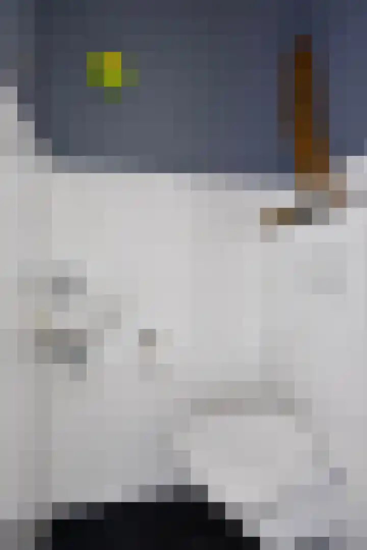 Lucas van Leydenstraat 24 Ede thumbnail 13