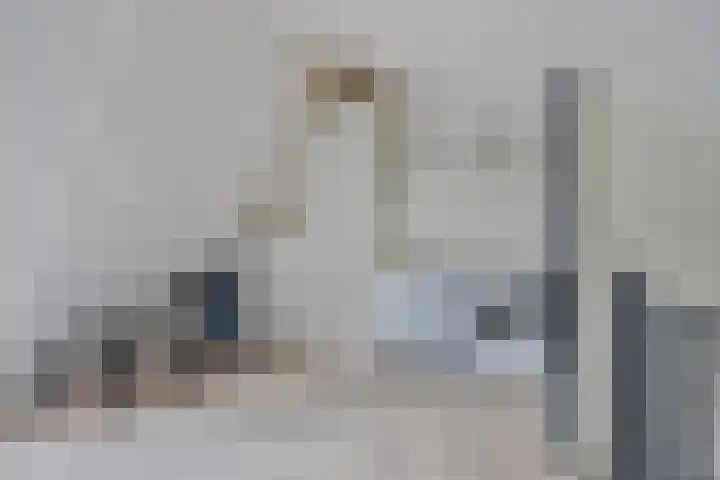Lucas van Leydenstraat 24 Ede thumbnail 23