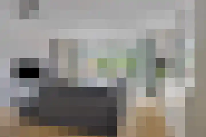 Lucas van Leydenstraat 24 Ede thumbnail 6
