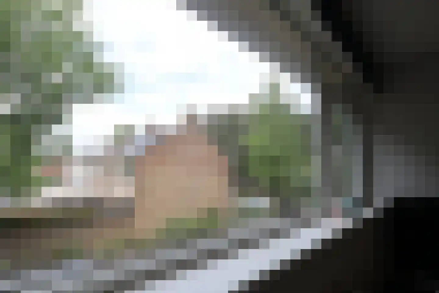 Lucas van Leydenstraat 3 Roosendaal thumbnail 12