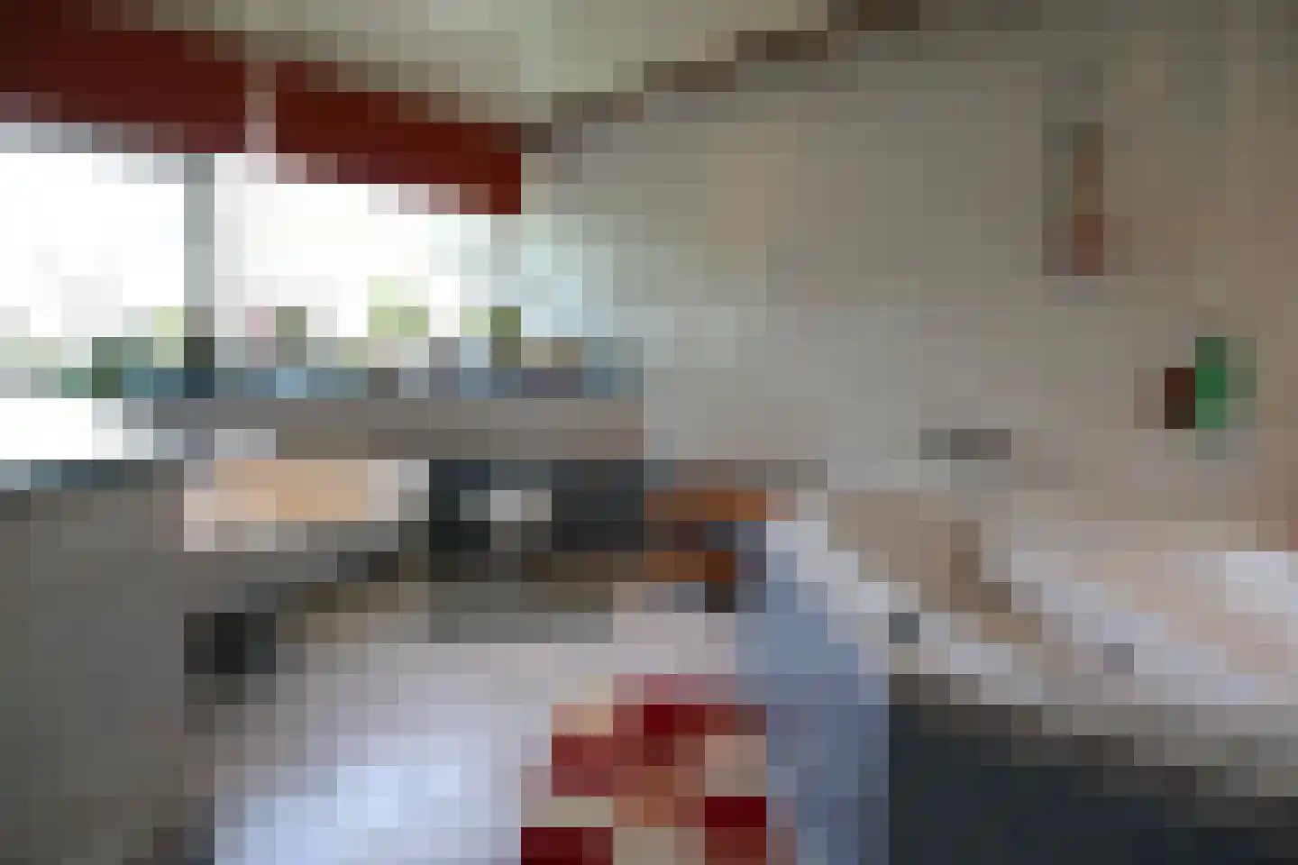 Lucas van Leydenstraat 3 Roosendaal thumbnail 13