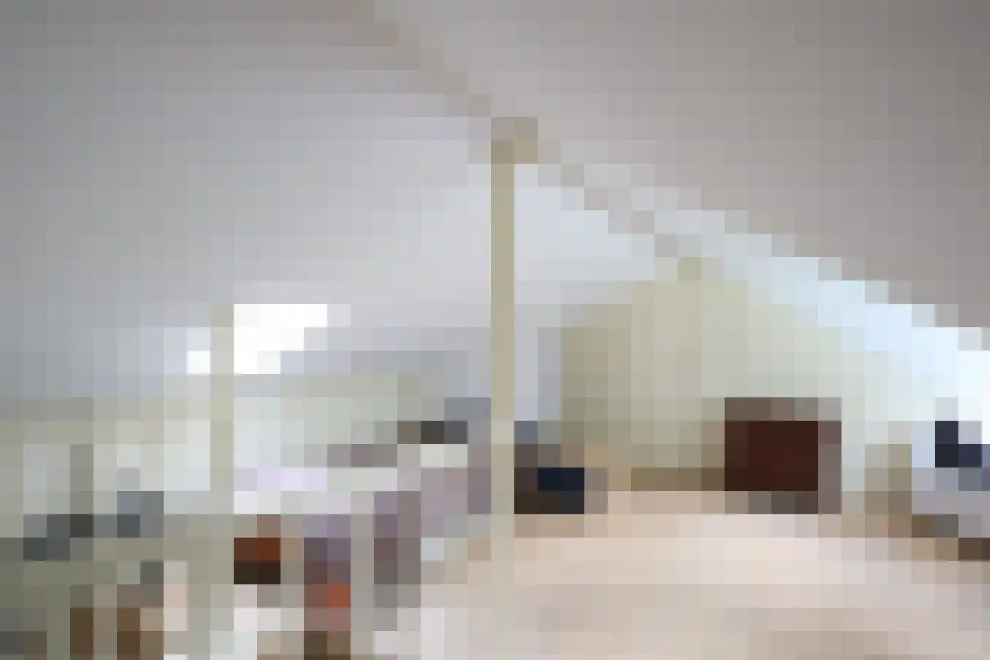 Lucas van Leydenstraat 3 Roosendaal thumbnail 16