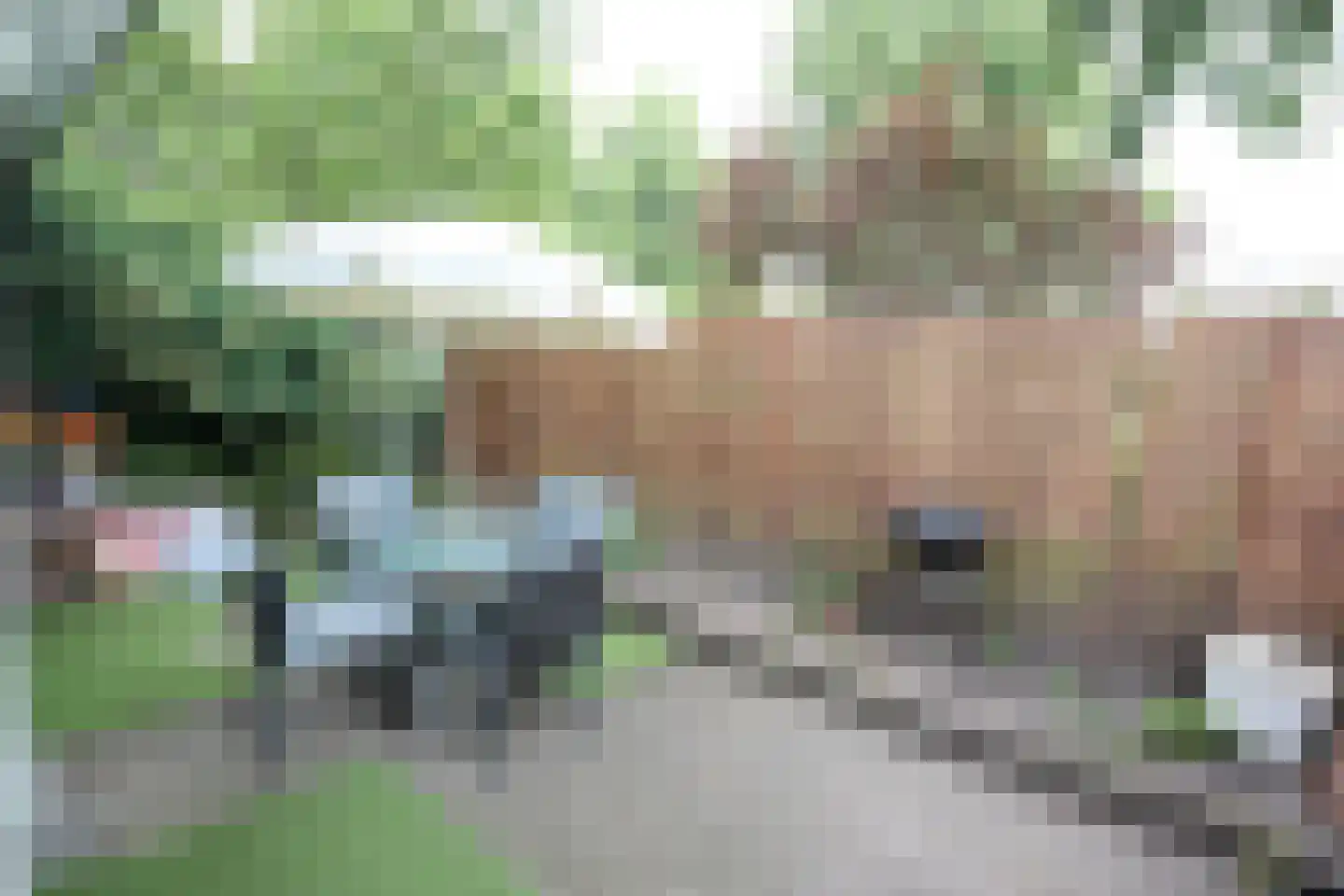 Lucas van Leydenstraat 3 Roosendaal thumbnail 18