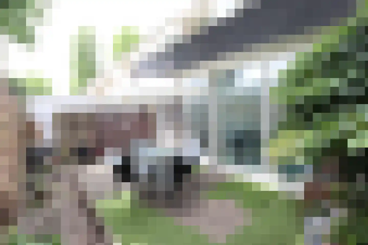 Lucas van Leydenstraat 3 Roosendaal thumbnail 19