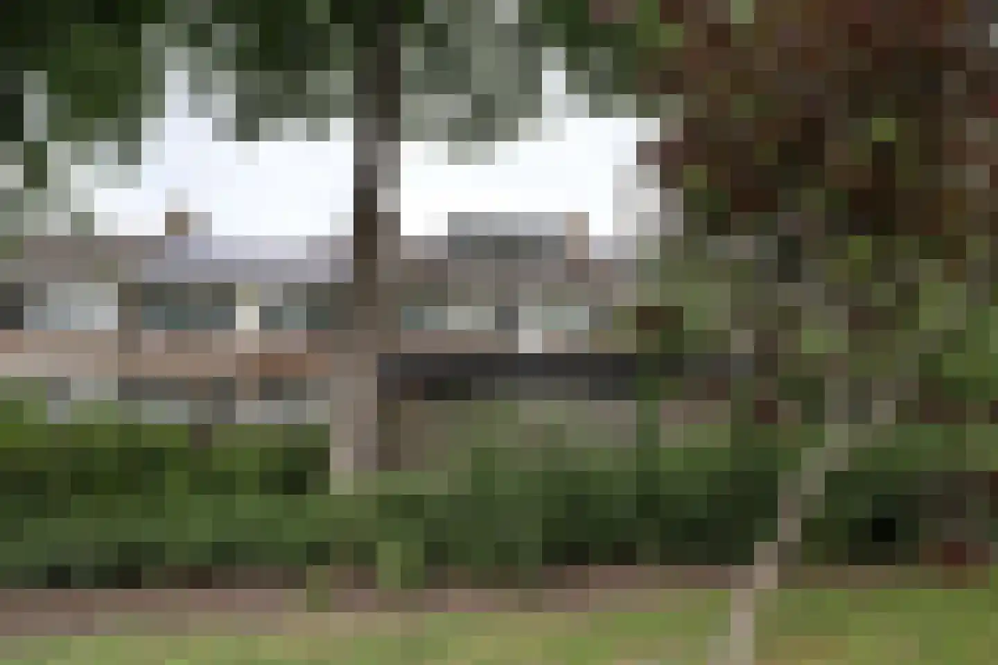 Lucas van Leydenstraat 3 Roosendaal thumbnail 23