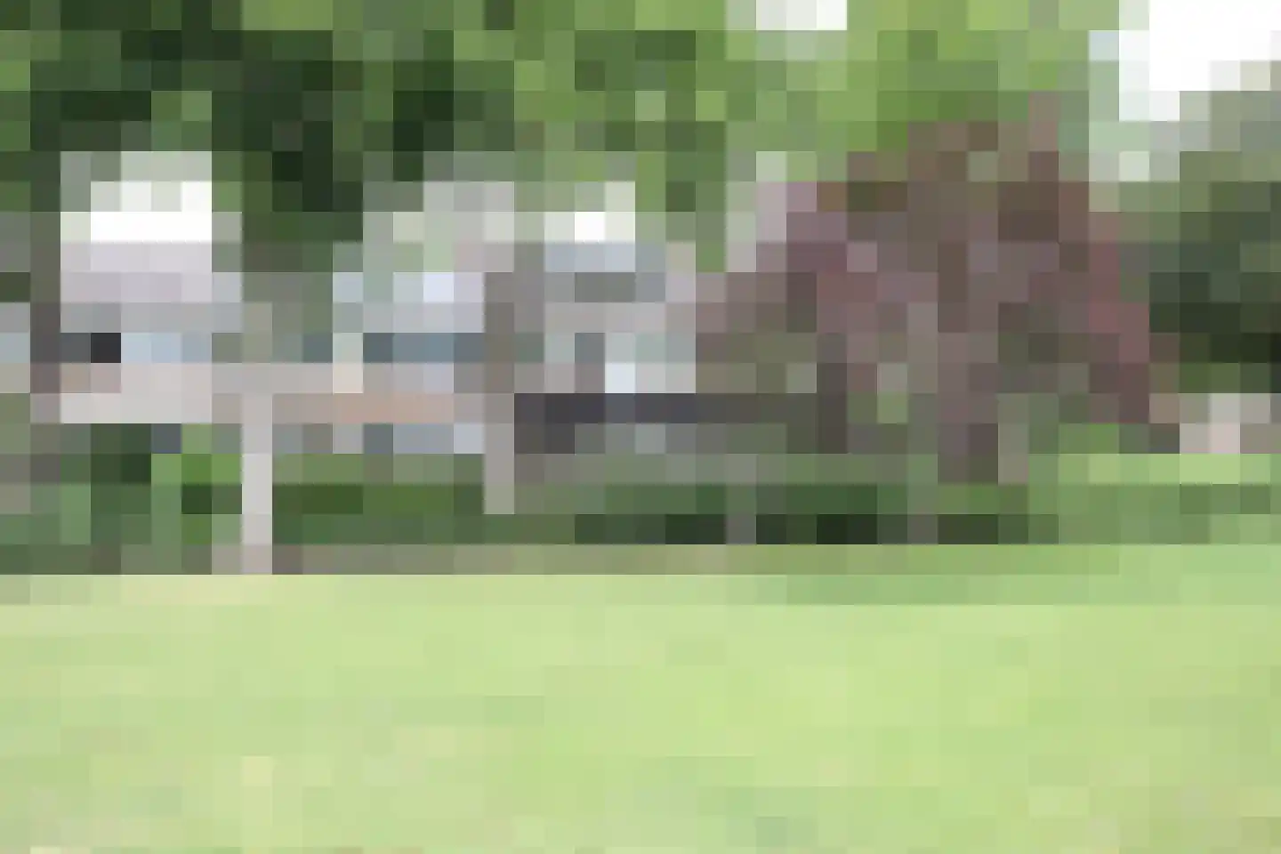 Lucas van Leydenstraat 3 Roosendaal thumbnail 24