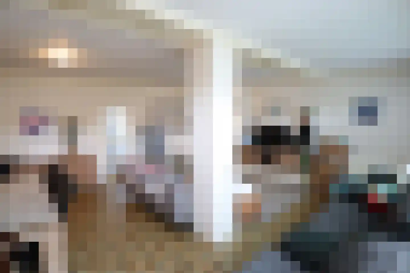 Lucas van Leydenstraat 3 Roosendaal thumbnail 5