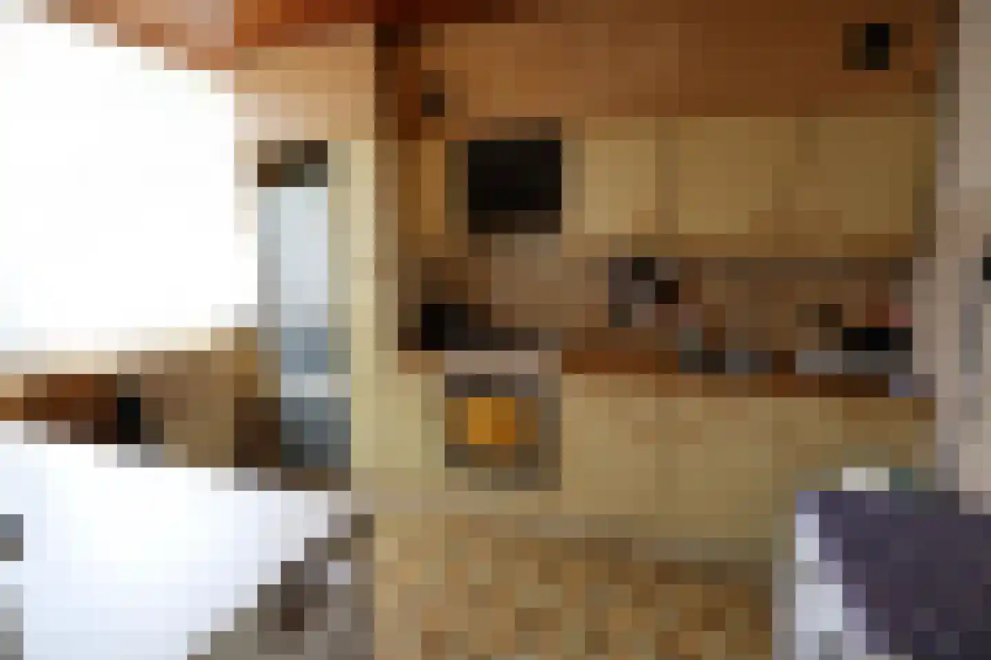 Lucas van Leydenstraat 3 Roosendaal thumbnail 6