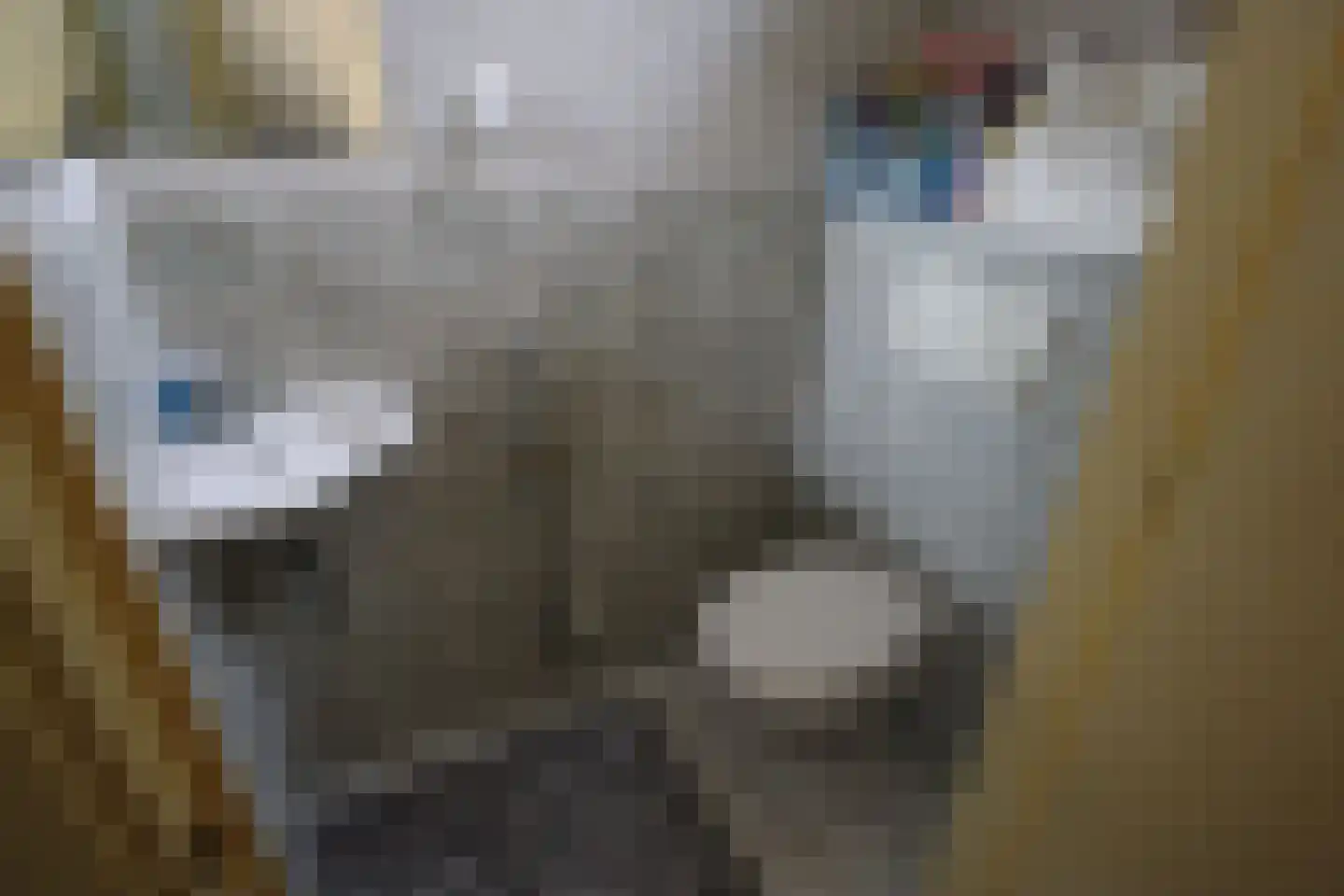 Lucas van Leydenstraat 3 Roosendaal thumbnail 8
