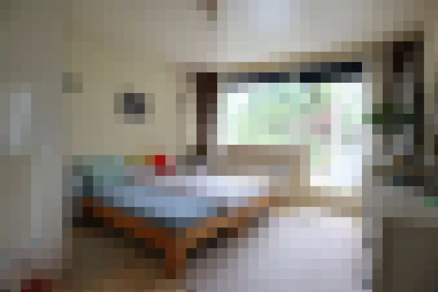 Lucas van Leydenstraat 3 Roosendaal thumbnail 9