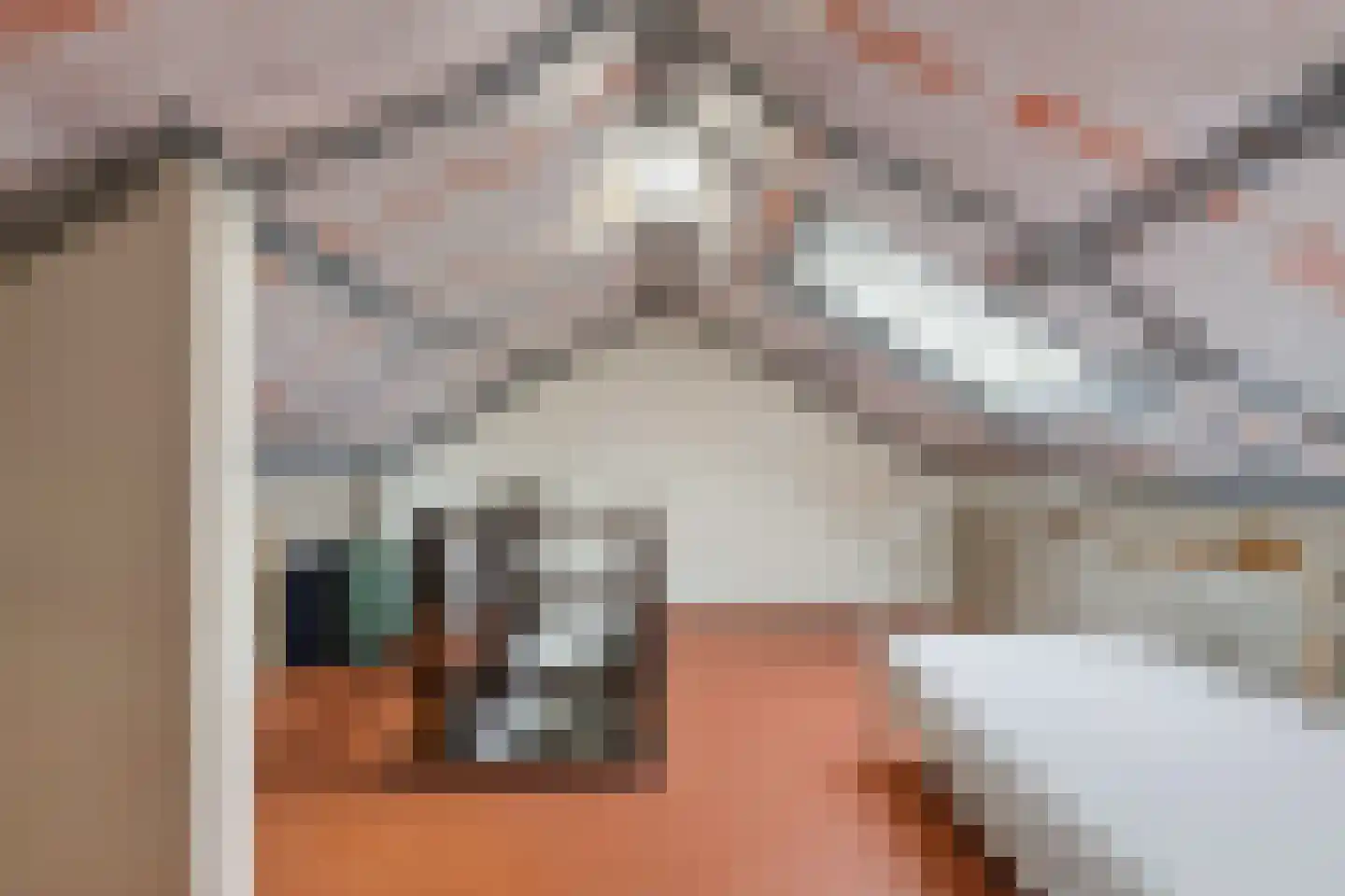 Lucas van Leydenstraat 37 Roosendaal thumbnail 27