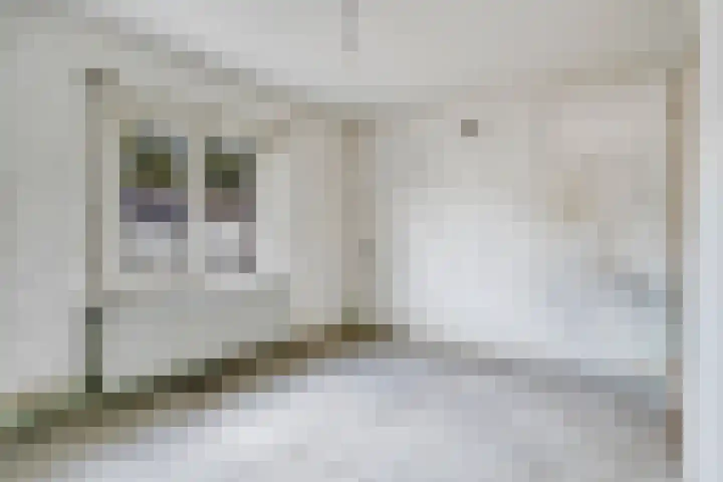 Lucas van Leydenstraat 48 's-Hertogenbosch thumbnail 15