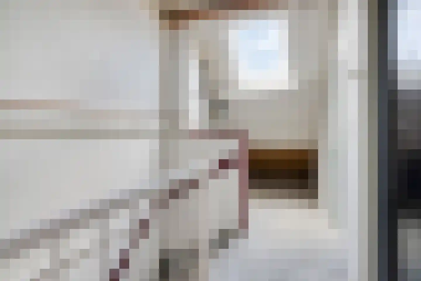 Lucas van Leydenstraat 48 's-Hertogenbosch thumbnail 21