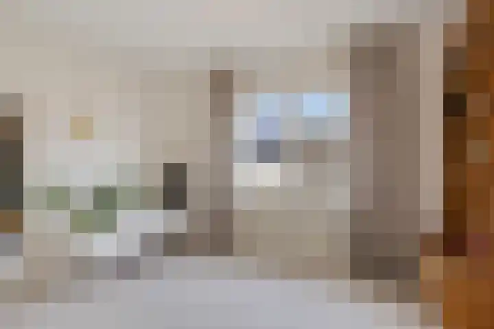 Lucas van Leydenstraat 66 's-Hertogenbosch thumbnail 13