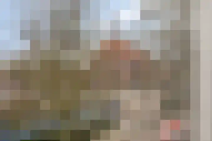 Lucas van Leydenstraat 66 's-Hertogenbosch thumbnail 20