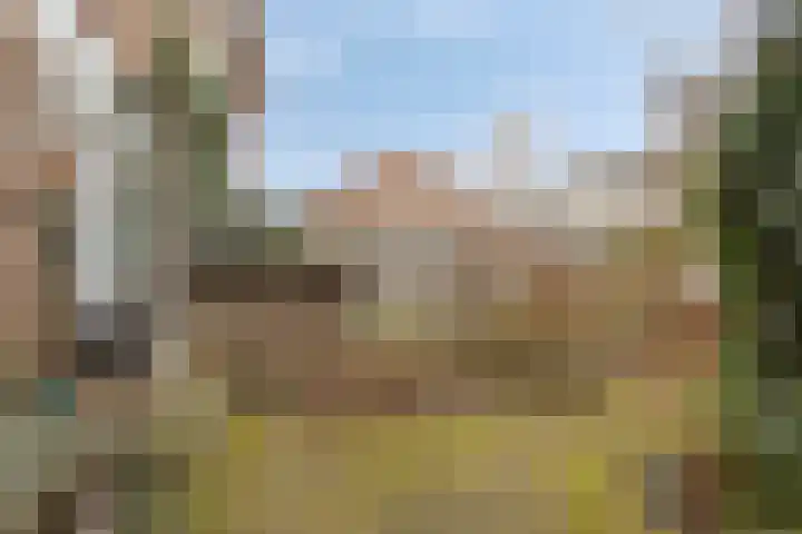 Lucas van Leydenstraat 66 's-Hertogenbosch thumbnail 23