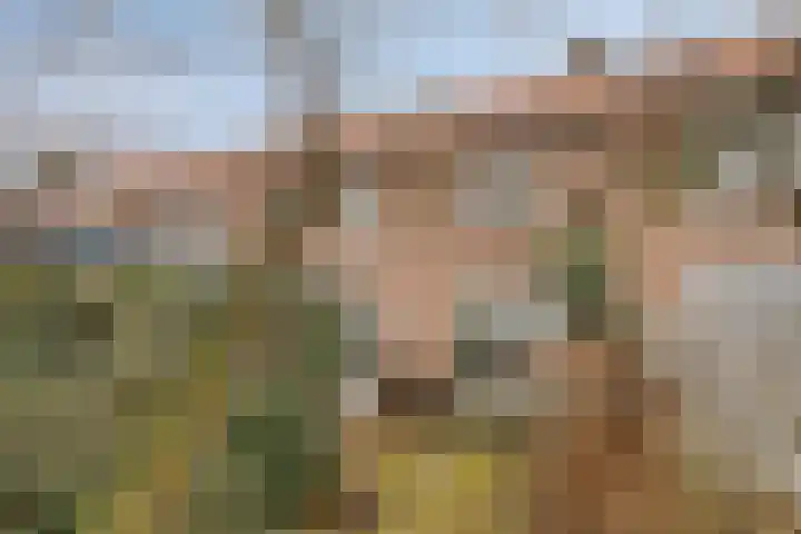 Lucas van Leydenstraat 66 's-Hertogenbosch thumbnail 24