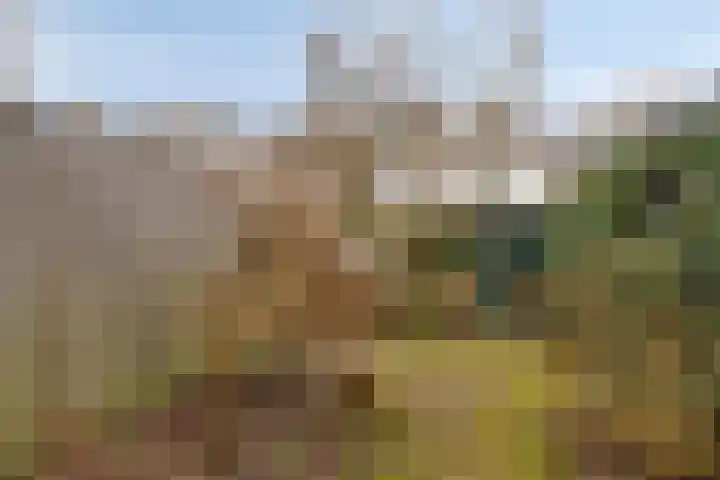 Lucas van Leydenstraat 66 's-Hertogenbosch thumbnail 25