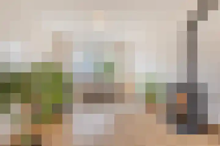 Lucas van Leydenstraat 66 's-Hertogenbosch thumbnail 4