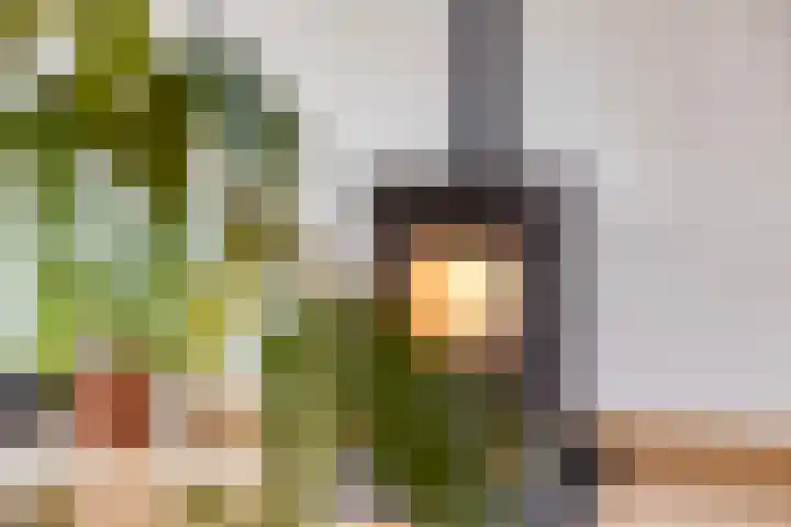 Lucas van Leydenstraat 66 's-Hertogenbosch thumbnail 6