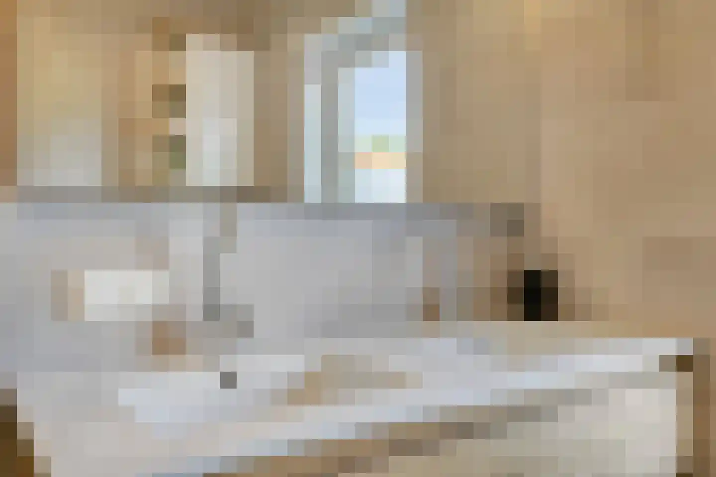 Lucas van Leydenstraat 78 's-Hertogenbosch thumbnail 24