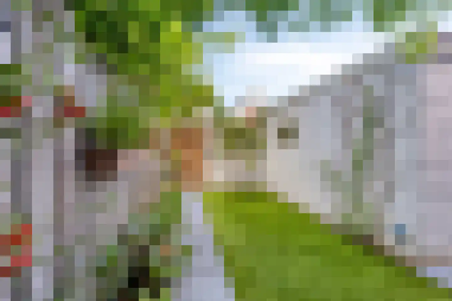 Lucas van Leydenstraat 78 's-Hertogenbosch thumbnail 36