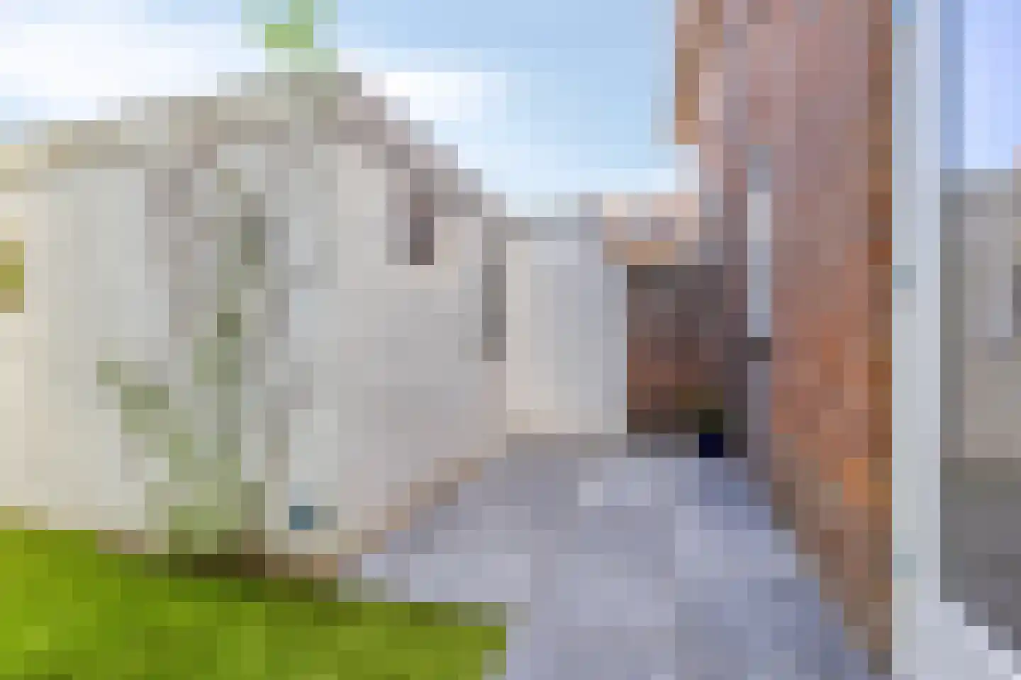 Lucas van Leydenstraat 78 's-Hertogenbosch thumbnail 38
