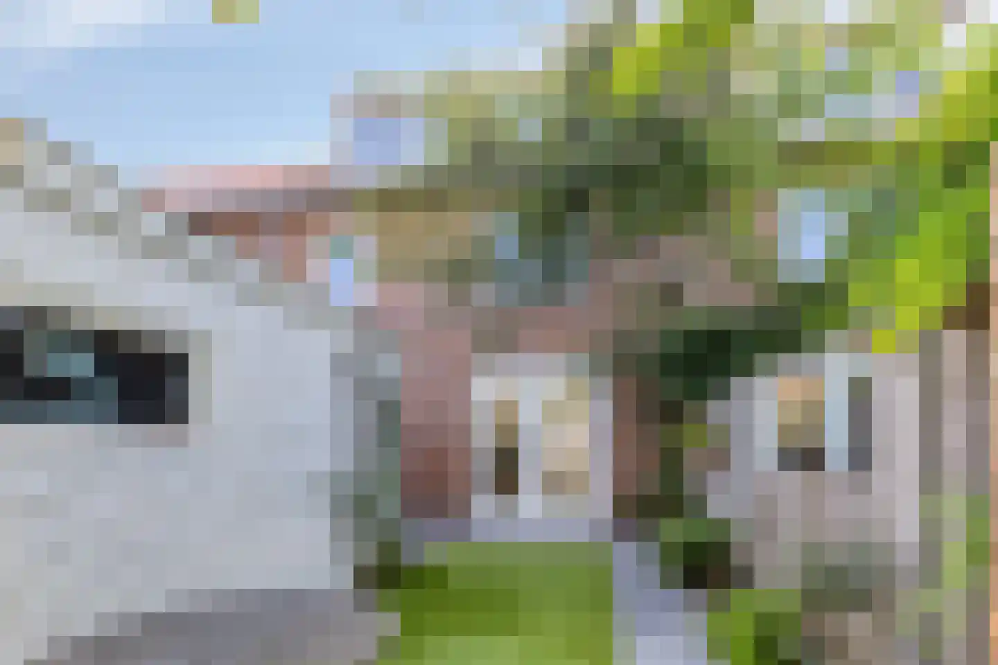Lucas van Leydenstraat 78 's-Hertogenbosch thumbnail 39
