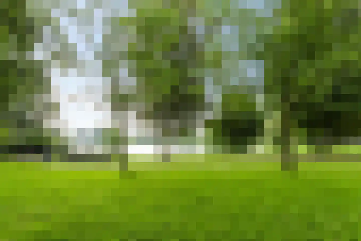 Lucas van Leydenstraat 78 's-Hertogenbosch thumbnail 42