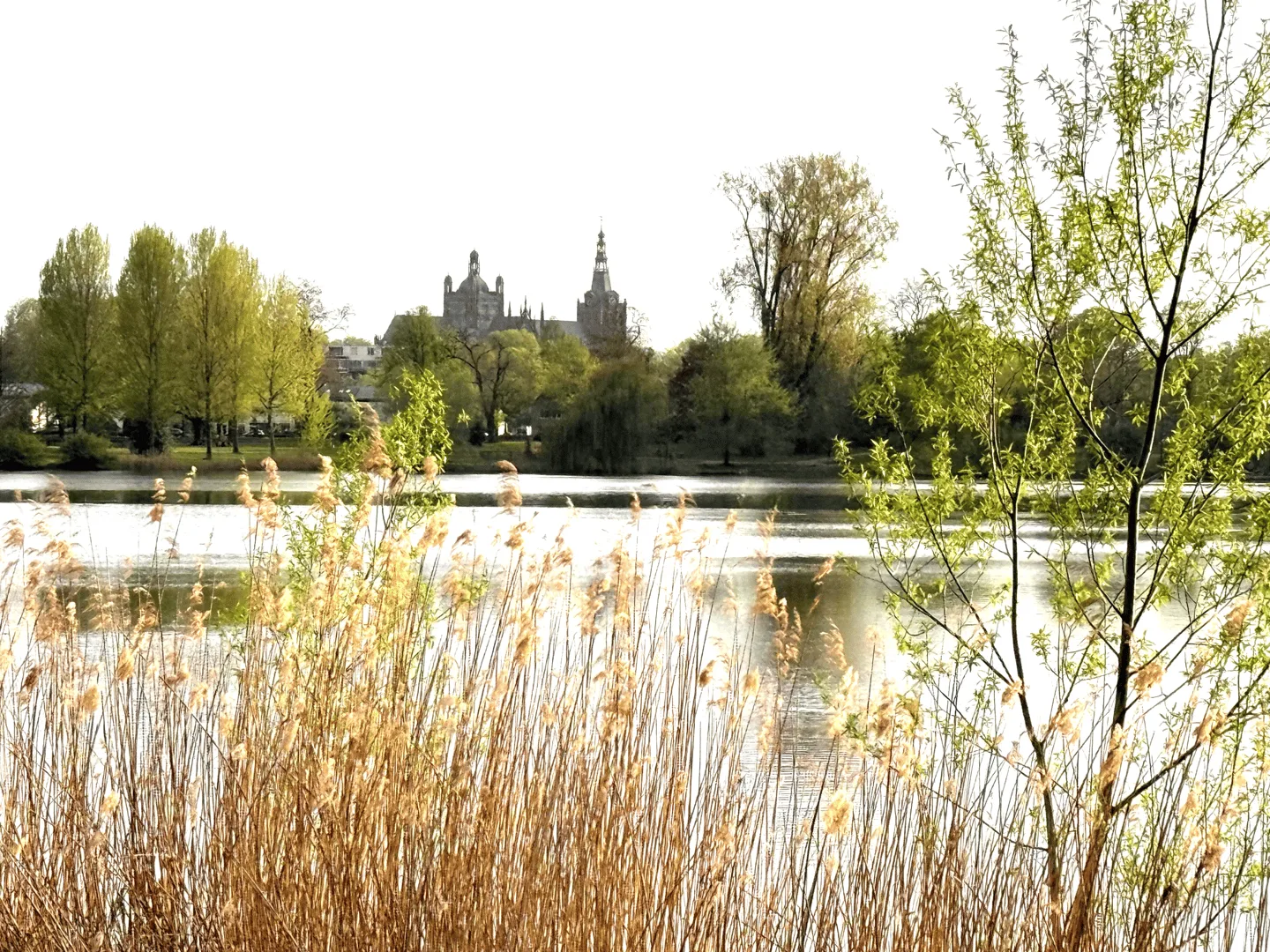 Lucas van Leydenstraat 78 's-Hertogenbosch thumbnail 43