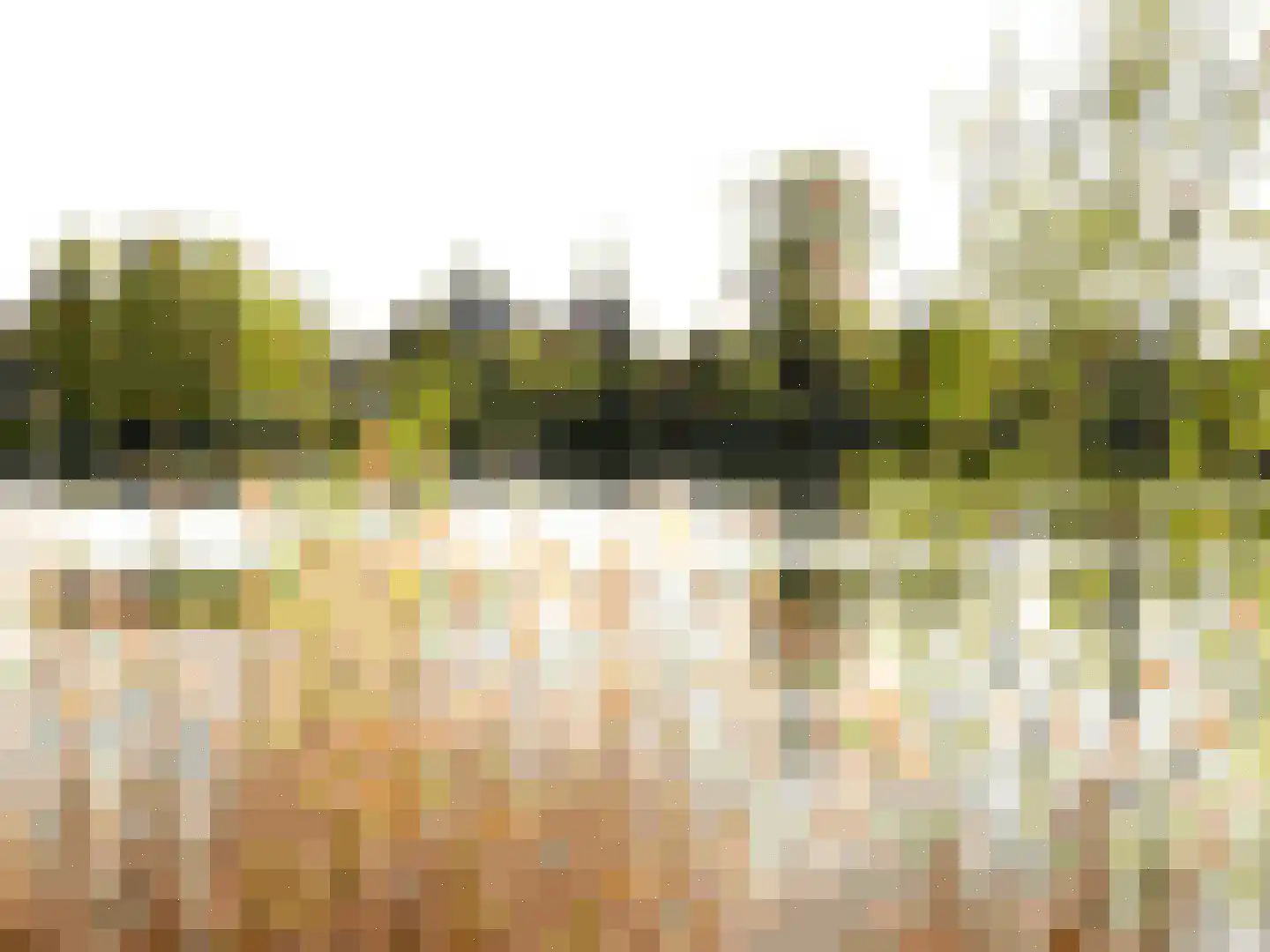 Lucas van Leydenstraat 78 's-Hertogenbosch thumbnail 43